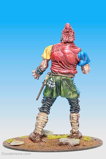 The Citadel Giant