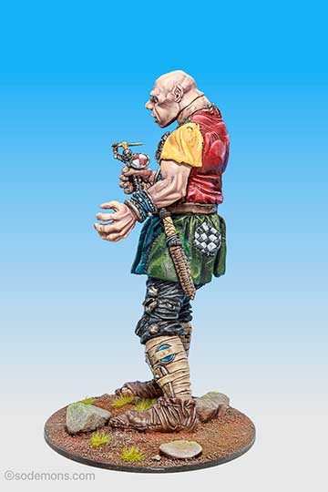 The Citadel Giant