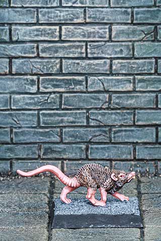Giant Rat