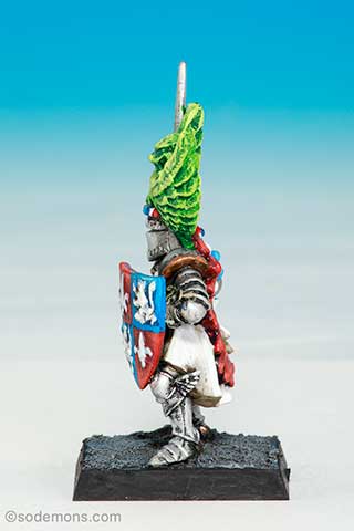 Bretonnian Knight