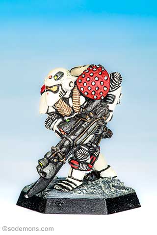 LE1 Imperial Space Marine