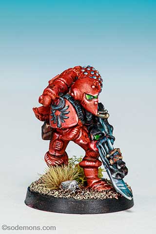 LE1 Imperial Space Marine