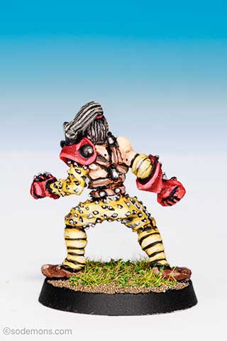 LE18 Blood Bowl Dwarf Player