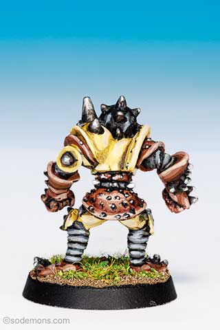 LE18 Blood Bowl Human Player