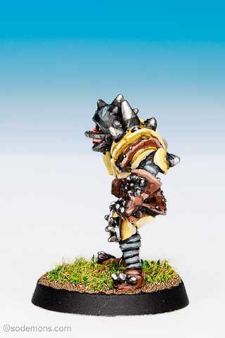 LE18 Blood Bowl Human Player