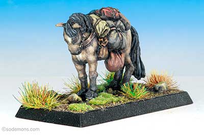 BME1 Bill the Pony