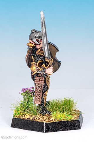 ME32v2 High Elf Hero (Sword) C