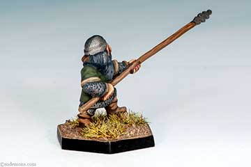 DWF1 - Dwarf with Ox-Tongued Partisan