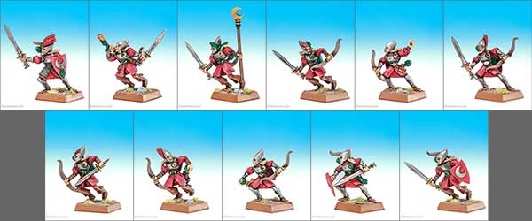 Elf Shadow Warriors