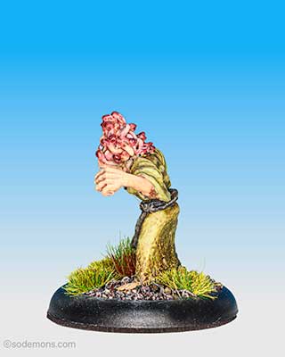 Medusa