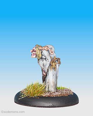 Chaos Hag