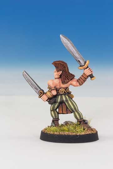 Shane Hoyle Wood Elf Wardancer