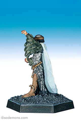 01-106 Half Elf D