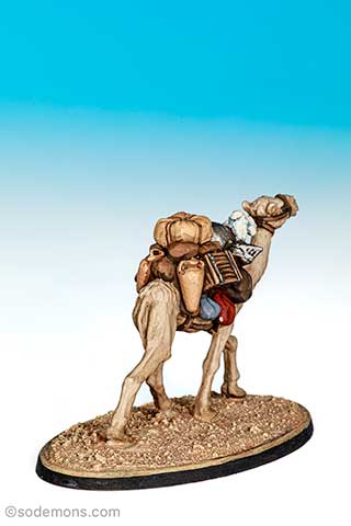 01-128 Camel B