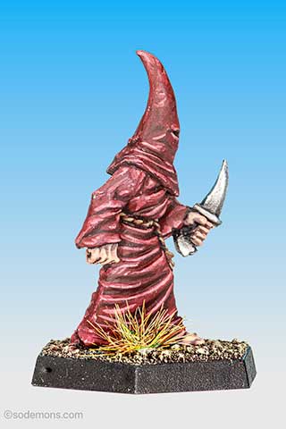 Robed Acolyte
