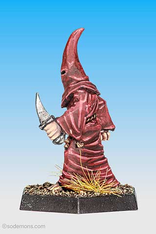 Robed Acolyte
