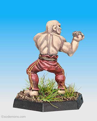 Pugilist