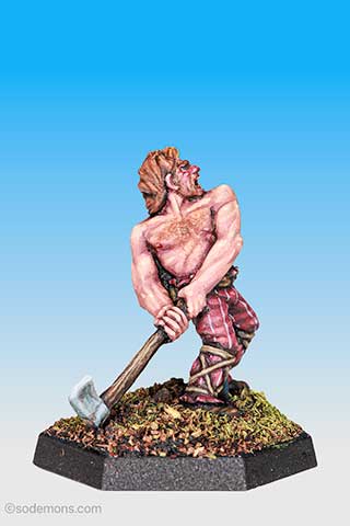 C01 Viking Beserker
