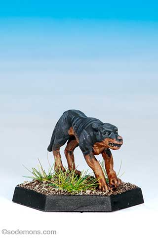 Fritzy the Dog
