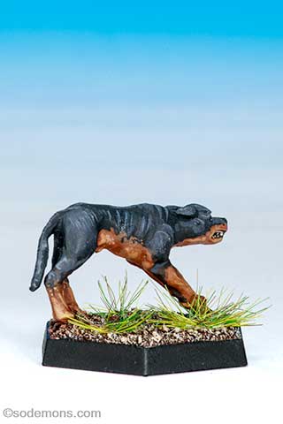Fritzy the Dog