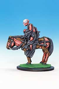 C21 Plague Rider