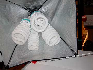 CFL lights
