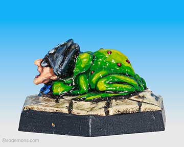 Pirate Toad