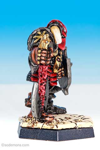 Warrior of Chaos