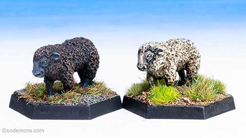 C46 Sheep