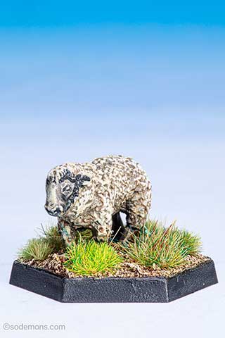 C46 Sheep