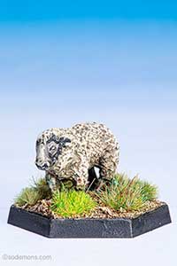 C46 Sheep