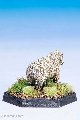 C46 Sheep