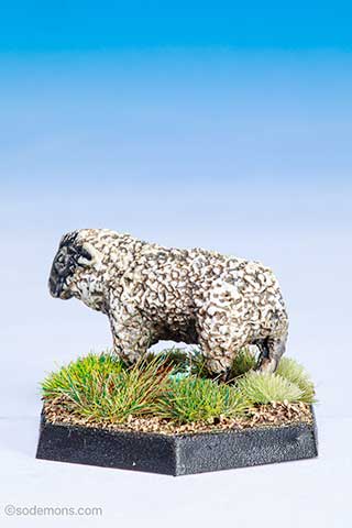 C46 Sheep