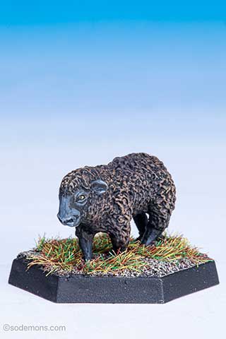 C46 Sheep