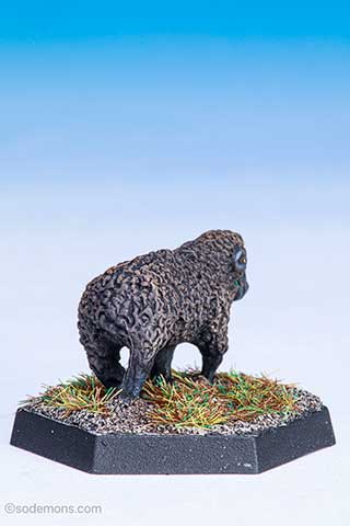 C46 Sheep