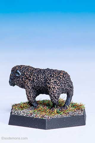 C46 Sheep
