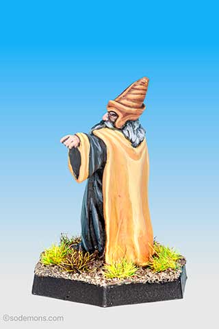 Wizard with Rod