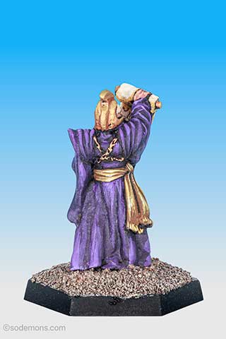 Wizard reading Spell Scroll