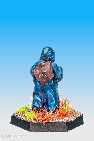 Young Wizard on Journey
