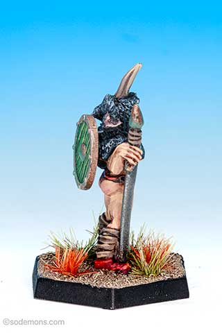 Fatima Shield Maiden